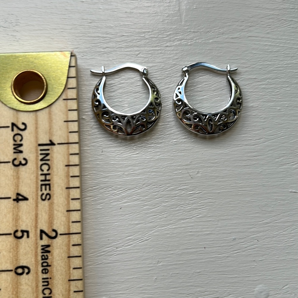 Sculpted loop earrings